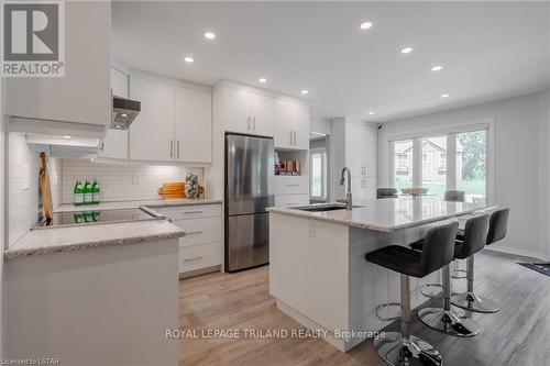 1047 Griffith Street, London, ON - Indoor Photo Showing Kitchen With Upgraded Kitchen