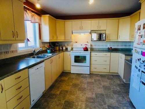 Cuisine - 16 Rue Lionel-Renaud, Gatineau (Aylmer), QC - Indoor Photo Showing Kitchen With Double Sink