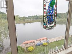 View from sunroom - 