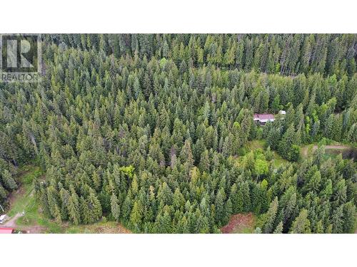 8749 6 Highway, Silverton, BC - Outdoor With View