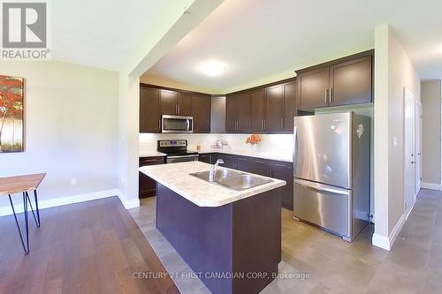 1674 Valhalla Street, London, ON - Indoor Photo Showing Kitchen With Double Sink