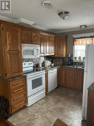 17 Alderwood Drive, Glovertown, NL - Indoor Photo Showing Kitchen With Double Sink