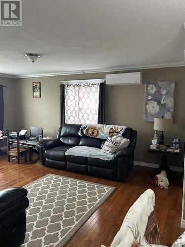 17 Alderwood Drive, Glovertown, NL - Indoor Photo Showing Living Room