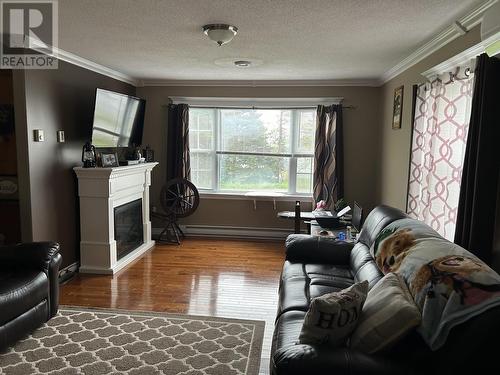 17 Alderwood Drive, Glovertown, NL - Indoor Photo Showing Living Room With Fireplace