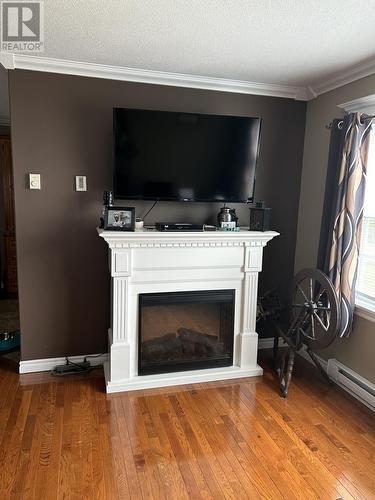 17 Alderwood Drive, Glovertown, NL - Indoor Photo Showing Living Room With Fireplace