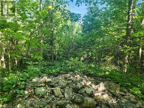 Lot 2 - Lt Pt 40 Con 8 Bartley Drive, Northern Bruce Peninsula, ON 