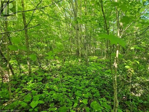 Lot 2 - Lt Pt 40 Con 8 Bartley Drive, Northern Bruce Peninsula, ON 