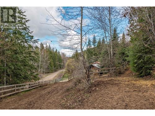 1291 Mallory Road, Enderby, BC - Outdoor With View