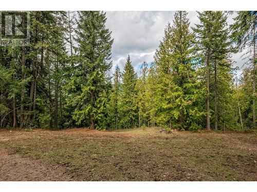 1291 Mallory Road, Enderby, BC - Outdoor