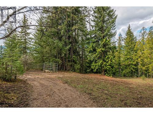 1291 Mallory Road, Enderby, BC - Outdoor