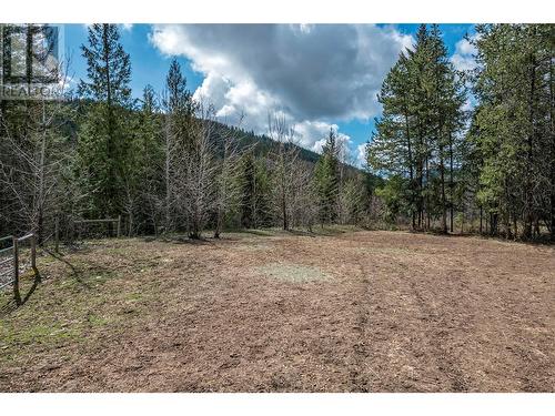 1291 Mallory Road, Enderby, BC - Outdoor With View