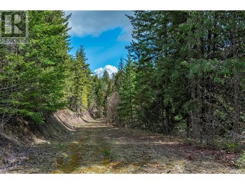 1291 Mallory Road, Enderby, BC - Outdoor With View