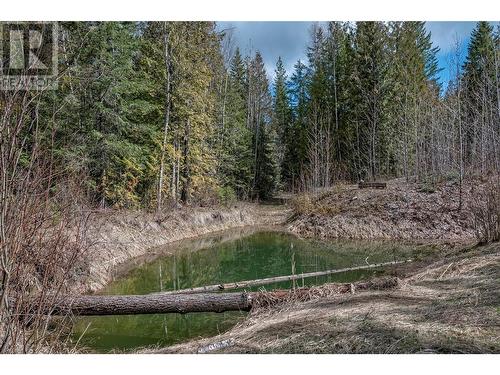 1291 Mallory Road, Enderby, BC - Outdoor With View