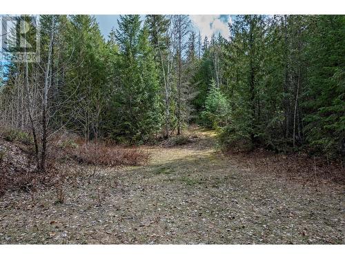 1291 Mallory Road, Enderby, BC - Outdoor With View