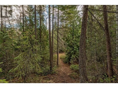 1291 Mallory Road, Enderby, BC - Outdoor With View