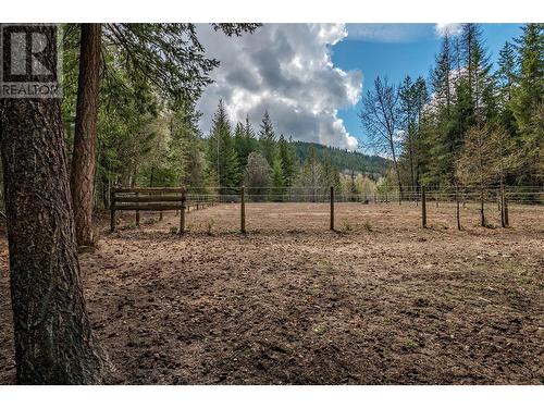 1291 Mallory Road, Enderby, BC - Outdoor With View