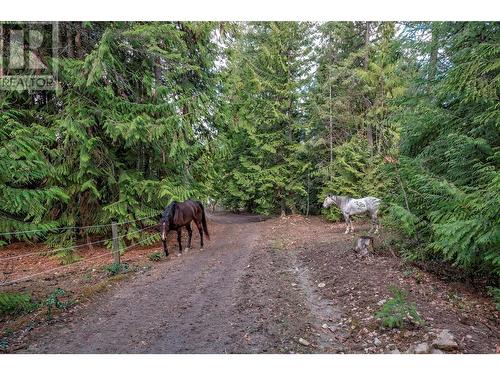 1291 Mallory Road, Enderby, BC - Outdoor