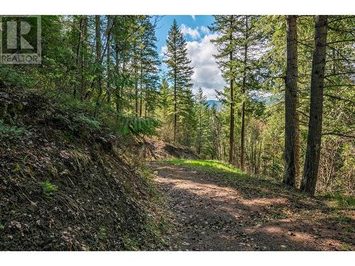 1291 Mallory Road, Enderby, BC - Outdoor With View