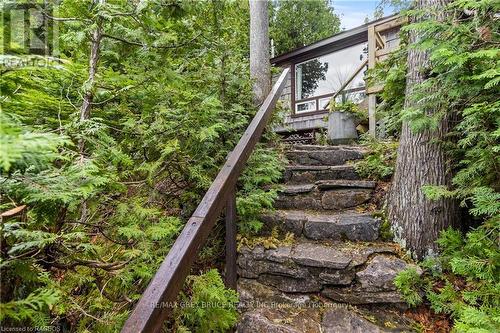 70 Big Tub Road, Northern Bruce Peninsula, ON - Outdoor