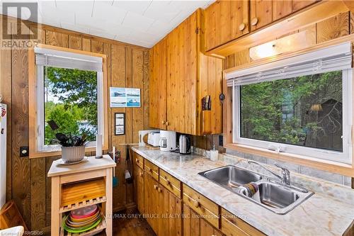 70 Big Tub Road, Northern Bruce Peninsula, ON - Indoor Photo Showing Kitchen With Double Sink