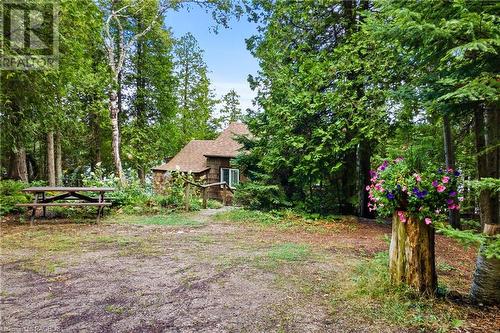 Cabin tucked in the trees! - 70 Big Tub Road, Tobermory, ON - Outdoor