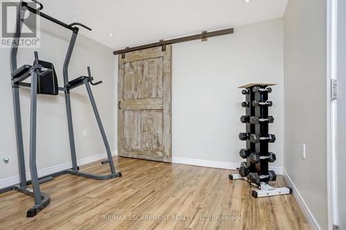 5342 Eramosa-Erin Townlin, Guelph/Eramosa, ON - Indoor Photo Showing Gym Room