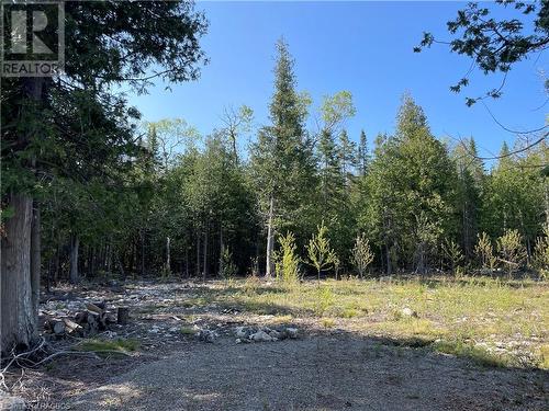 Lot 13 East Road, Northern Bruce Peninsula, ON 