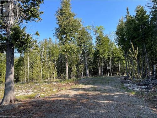 Lot 13 East Road, Northern Bruce Peninsula, ON 