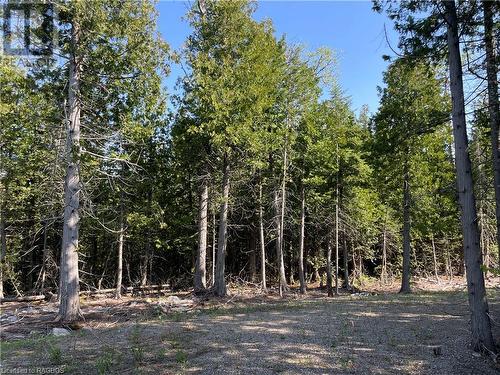 Lot 13 East Road, Northern Bruce Peninsula, ON 