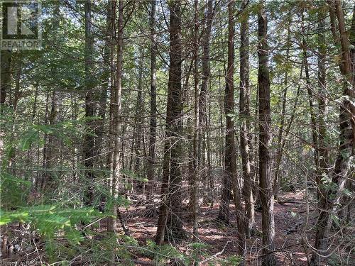 Lot 13 East Road, Northern Bruce Peninsula, ON 