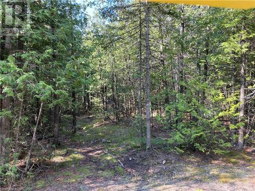 Lot 13 East Road, Northern Bruce Peninsula, ON 