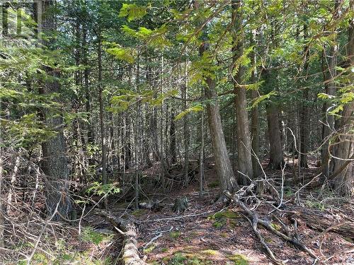 Lot 13 East Road, Northern Bruce Peninsula, ON 