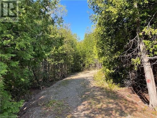 Lot 13 East Road, Northern Bruce Peninsula, ON 