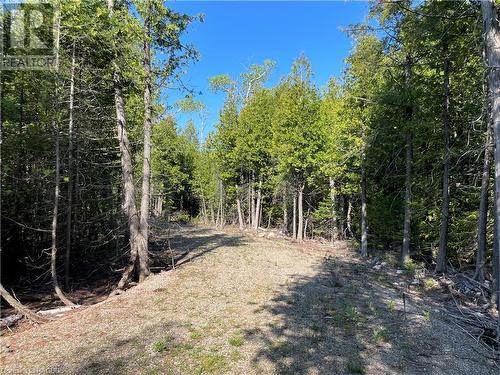 Lot 13 East Road, Northern Bruce Peninsula, ON 