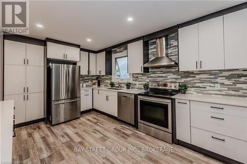 259 Lorraine Avenue, Kitchener, ON - Indoor Photo Showing Kitchen With Stainless Steel Kitchen With Upgraded Kitchen