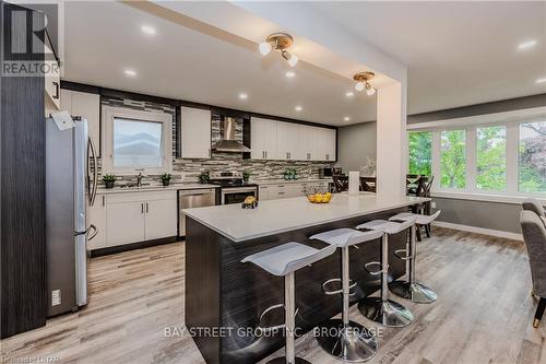 259 Lorraine Avenue, Kitchener, ON - Indoor Photo Showing Kitchen With Upgraded Kitchen