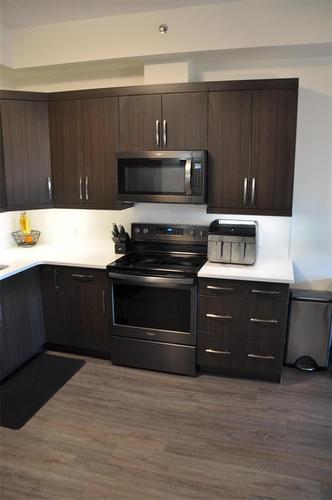 107 300 Centre Street, Winnipeg, MB - Indoor Photo Showing Kitchen