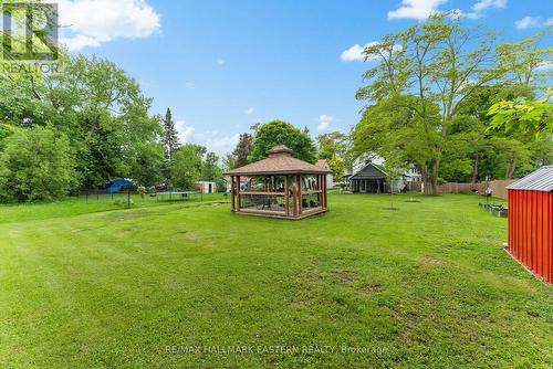 10 Queen Street S, Kawartha Lakes, ON - Outdoor With Backyard