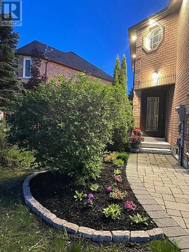 45 Mistleflower Court, Richmond Hill, ON - Outdoor