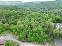 Vue d'ensemble - Ch. Du Petit-Pont, Saint-Adolphe-D'Howard, QC 