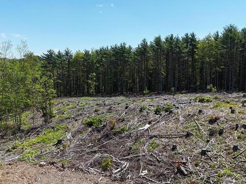 Lot Jg-1 Logan Road, Bridgewater, NS 