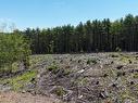 Lot Jg-1 Logan Road, Bridgewater, NS 