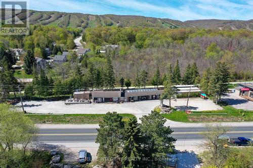 209574 Highway 26, Blue Mountains, ON 