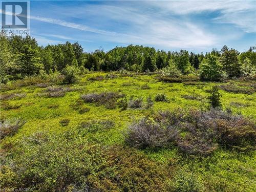 Lot 39 Bartley Drive, Northern Bruce Peninsula, ON 