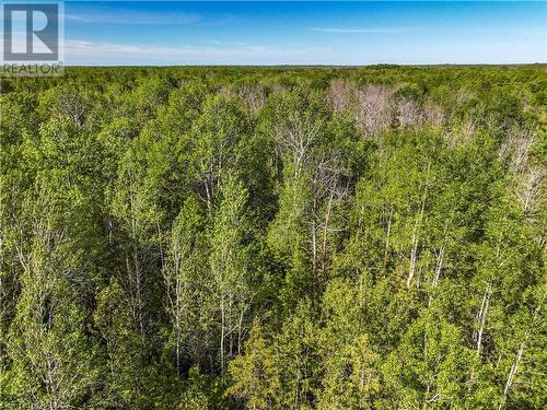 Lot 39 Bartley Drive, Northern Bruce Peninsula, ON 