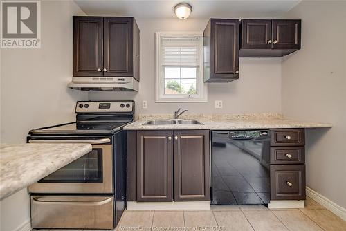 3674 King Street, Windsor, ON - Indoor Photo Showing Kitchen With Double Sink