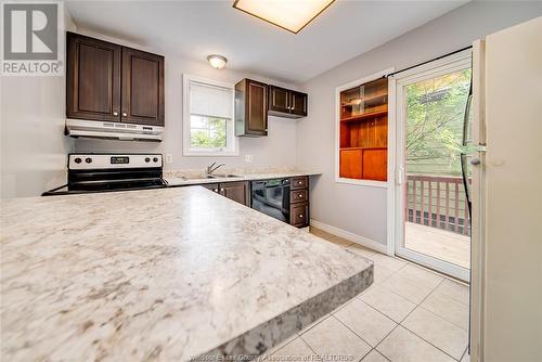 3674 King Street, Windsor, ON - Indoor Photo Showing Kitchen With Double Sink