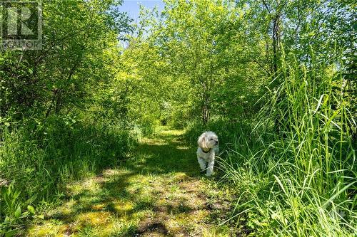 8842 Highway 15 Highway, Carleton Place, ON - Outdoor