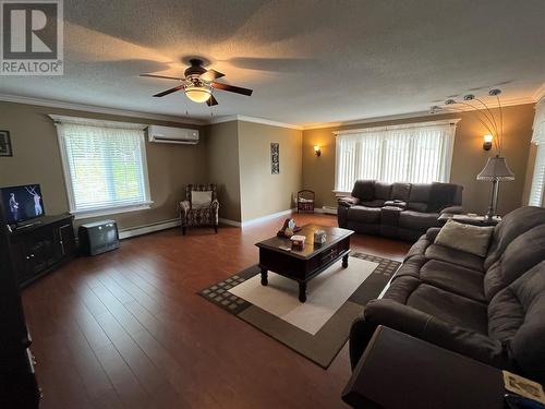 1 Rowsellville Road, Roberts Arm, NL - Indoor Photo Showing Living Room