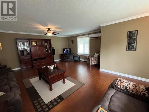 1 Rowsellville Road, Roberts Arm, NL - Indoor Photo Showing Living Room